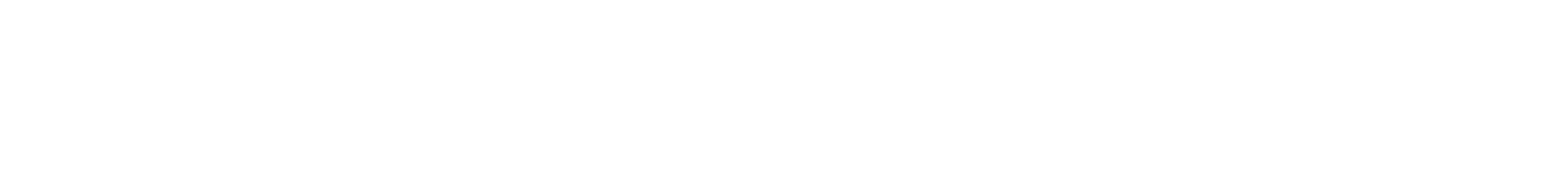Forte Investment Fund